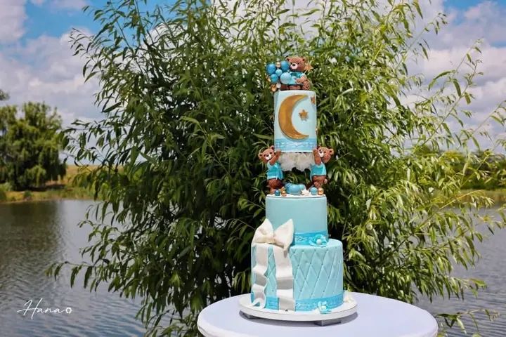 Family celebration photographed outdoors